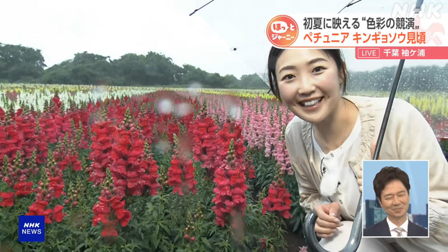 岩﨑果歩 おはよう日本 8