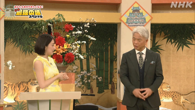 赤木野々花 日本最強の城 11
