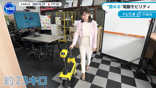 嶺百花 ワールドビジネスサテライト 14