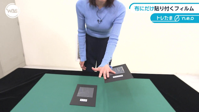 嶺百花 ワールドビジネスサテライト 28