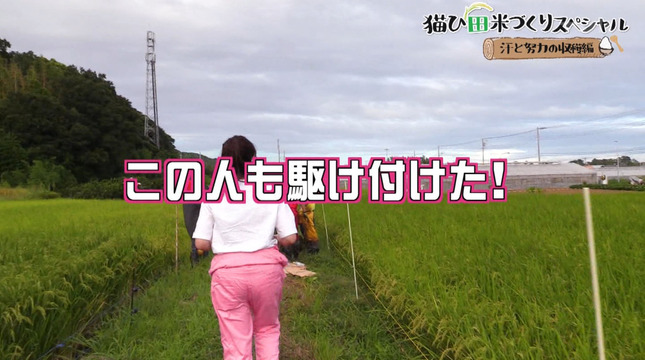 岡村帆奈美 猫ひ田米づくりスペシャル 4