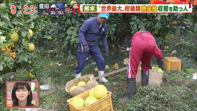 山本雪乃アナのお尻に食い込むパン線！！