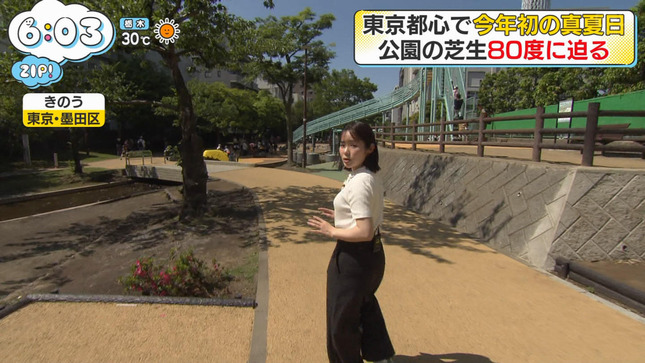 並木雲楓 ZIP! 2