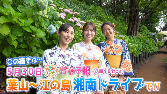 石渡花菜 めざましテレビチャンネル 26