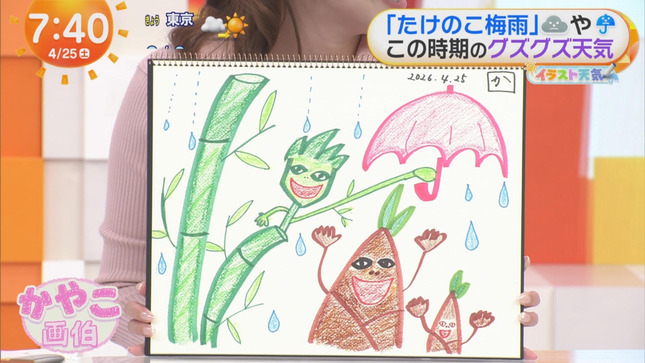 阿部華也子 めざましどようび 10