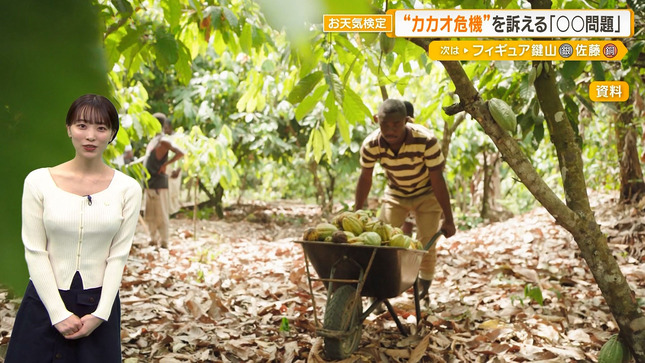 今井春花キャスター　巨乳くっきり天気予報！！