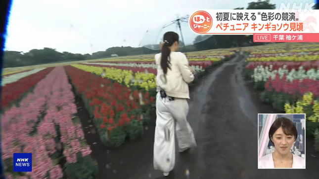 岩﨑果歩 おはよう日本 10