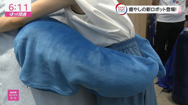 木村穂乃 ニュースほっと関西 6