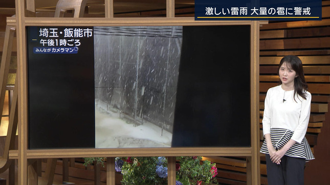 細川栞 報道ステーション 2