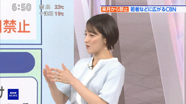 赤木野々花 おはよう日本 NHKニュース 14