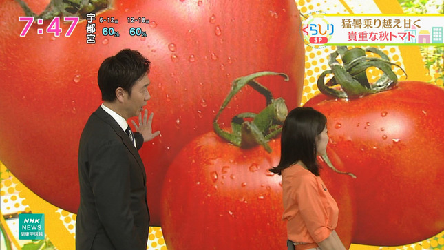 赤木野々花 おはよう日本 11