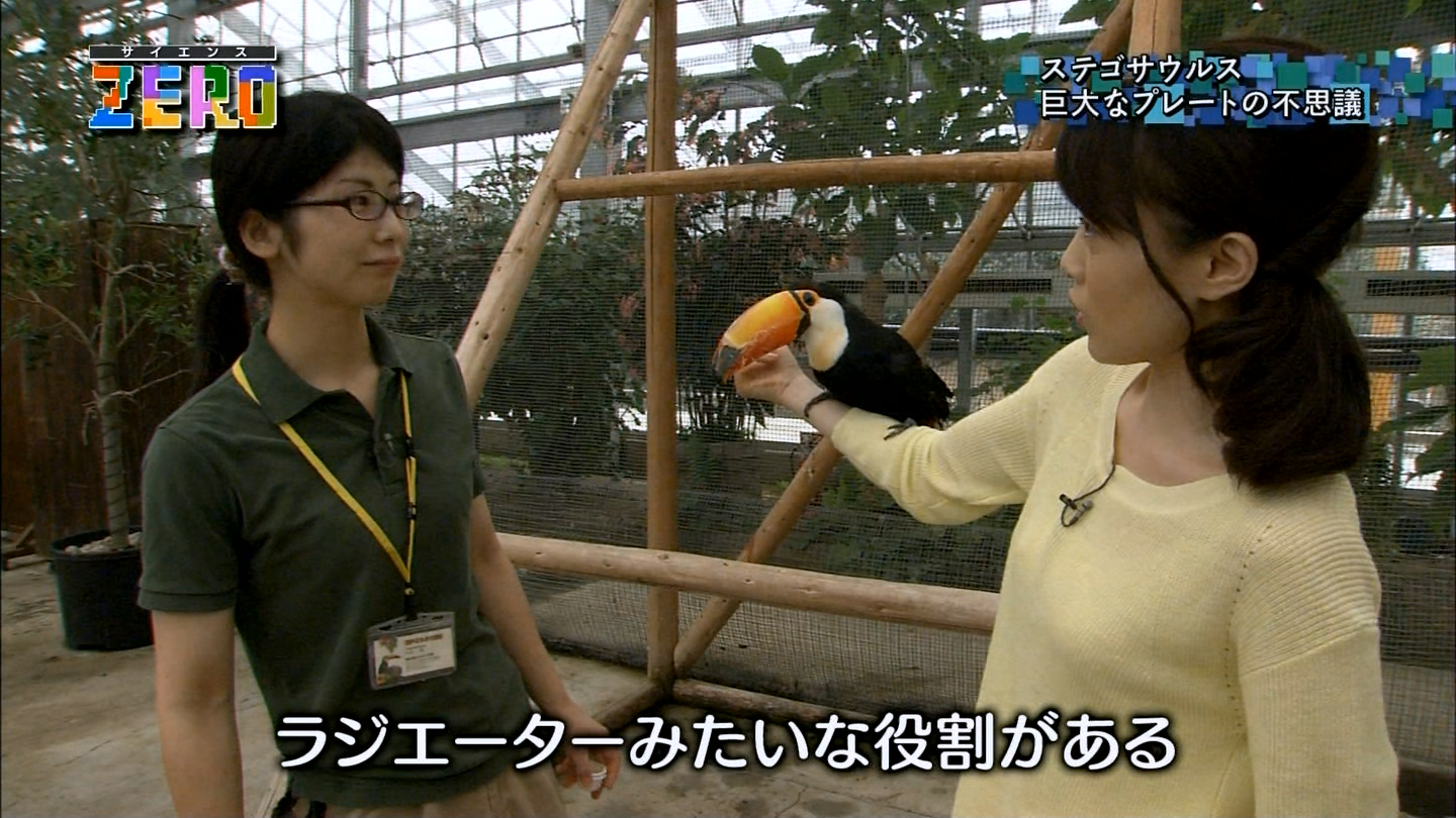 江崎史恵アナ 横乳 サイエンスzero アナきゃぷ速報