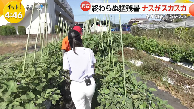 石渡花菜 LiveNewsイット！ FNNLiveNewsα 3
