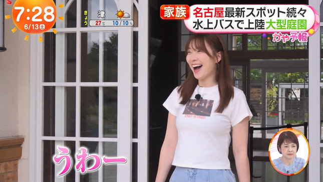 阿部華也子 めざましどようび 13