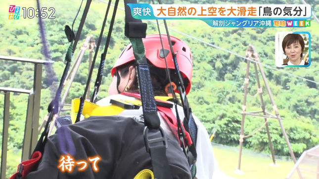 若林有子 ひるおび！ 3