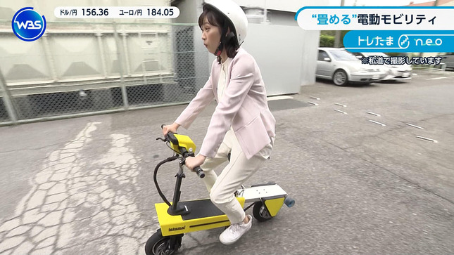 嶺百花 ワールドビジネスサテライト 17