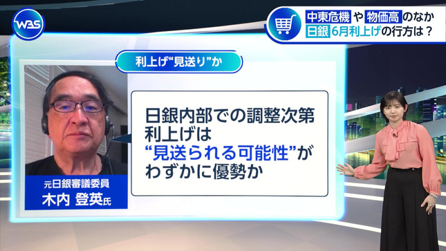 田中瞳 ワールドビジネスサテライト 4