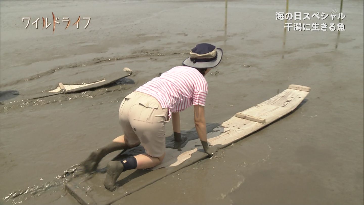 久保田祐佳尻 久保田祐佳アナが四つん這いでブラチラ！！ : アナきゃぷ速報