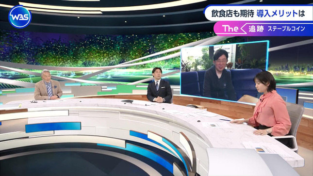 田中瞳 ワールドビジネスサテライト 16