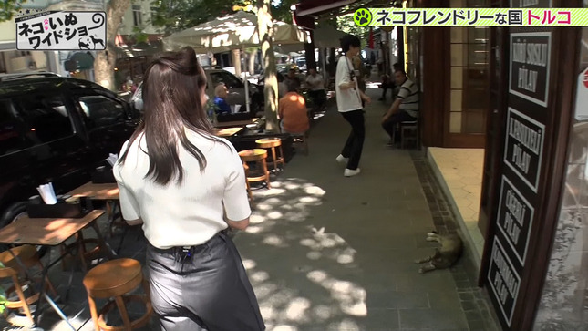 森千晴 ネコいぬワイドショー 6