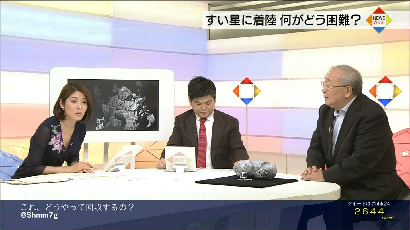 鎌倉 井口 綾子