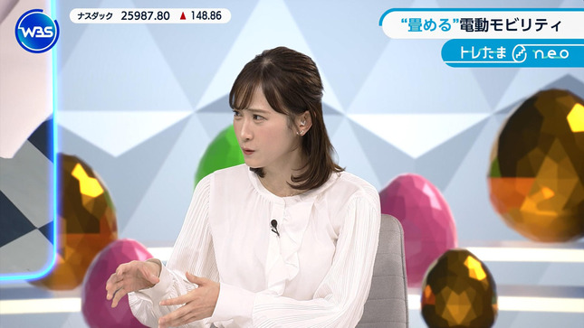 嶺百花 ワールドビジネスサテライト 30