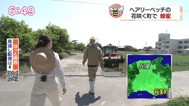 辻原麻希 ニュースほっと関西 6