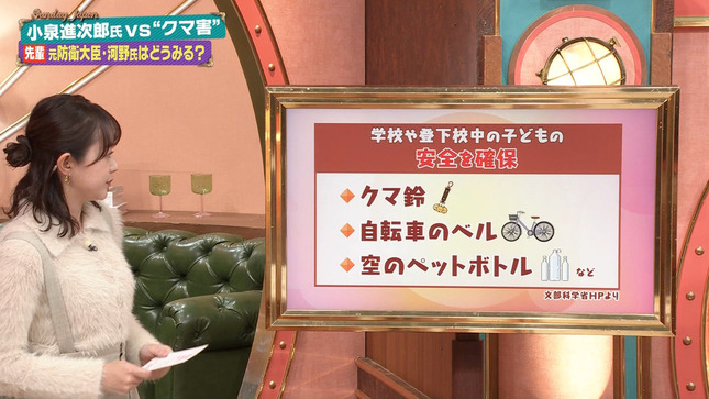 若林有子 サンデー・ジャポン 10