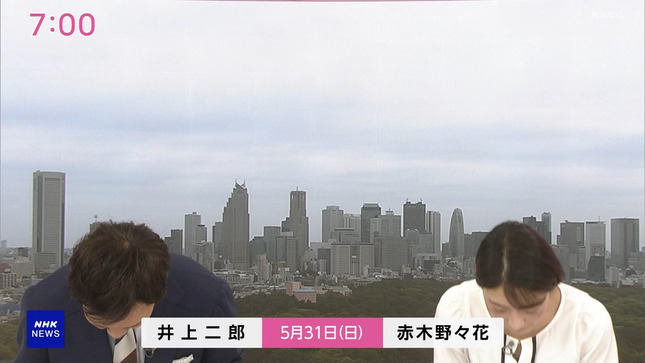 赤木野々花 おはよう日本 NHKニュース 17