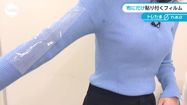 嶺百花 ワールドビジネスサテライト 11