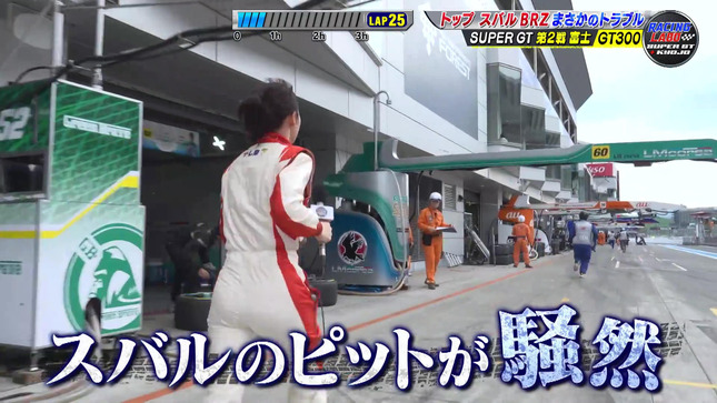 嶺百花 RACING LABO 10