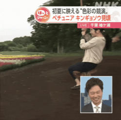 岩﨑果歩 おはよう日本 20