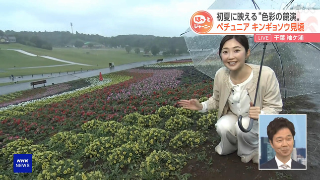 岩﨑果歩 おはよう日本 3
