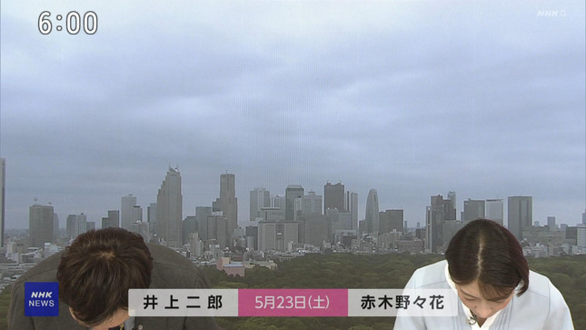 赤木野々花 おはよう日本 NHKニュース 12