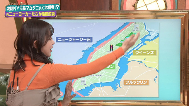 若林有子 サンデー・ジャポン 9