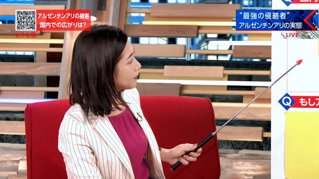 桑子真帆 クローズアップ現代 4