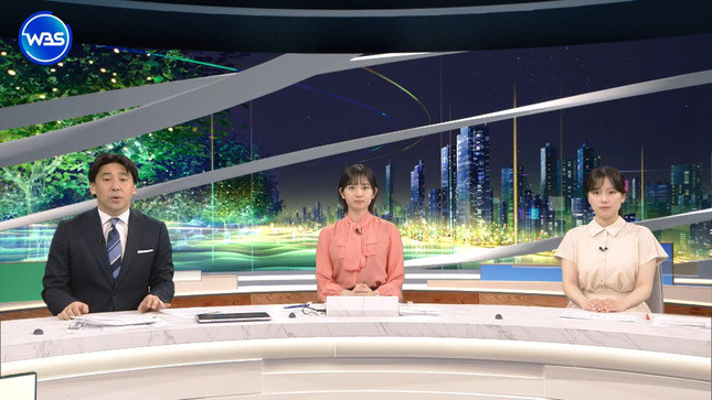田中瞳 ワールドビジネスサテライト 2