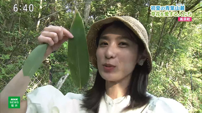 平塚柚希 列島ニュース 8