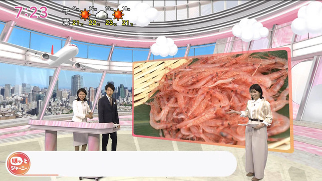 是永千恵 おはよう日本 17