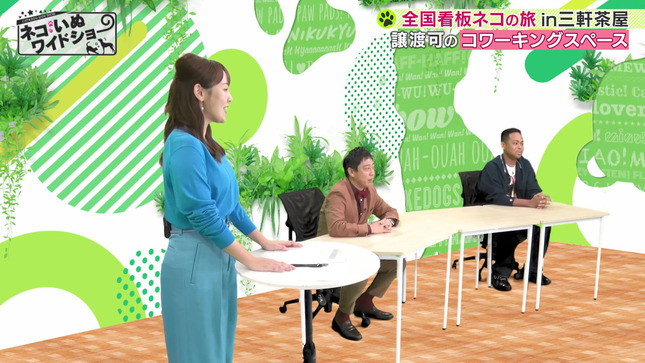 森千晴 ネコいぬワイドショー 5