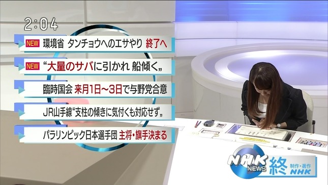 片山千恵子 サキどり↑ NHKニュース 12