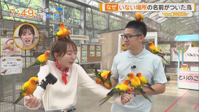 佐々木若葉 グッド！モーニング 12
