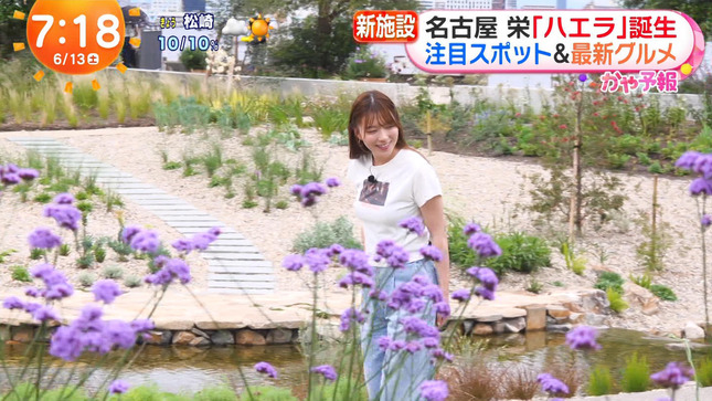 阿部華也子 めざましどようび 5