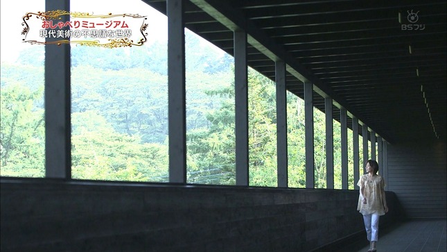 八木亜希子のおしゃべりミュージアム 12