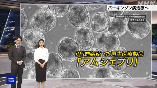 副島萌生 NHKニュース7 13