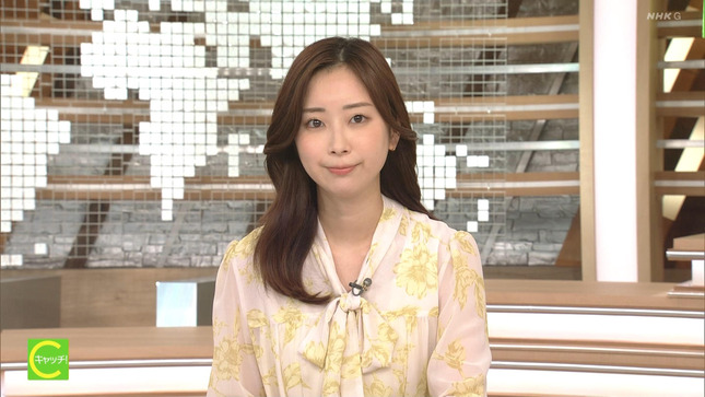 川口由梨香 キャッチ！世界のトップニュース 15