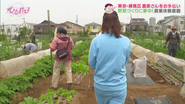 宮崎あずさ ひむバス！ 5