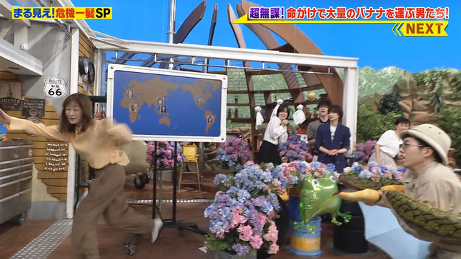 岩田絵里奈 世界まる見え！テレビ特捜部 2