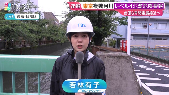 若林有子 ひるおび！ 2