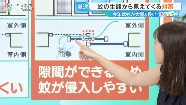 若林有子アナ　セクシーノースリーブ脇！！